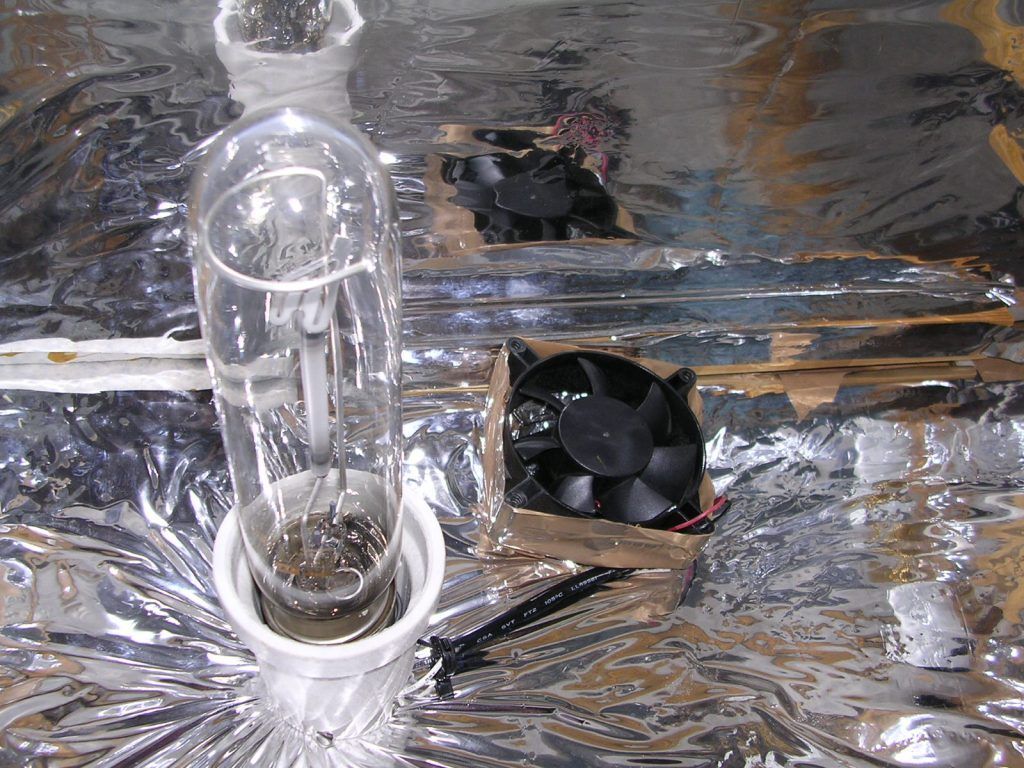 alta presion de sodio y extraccion HPS 100 microcultivo