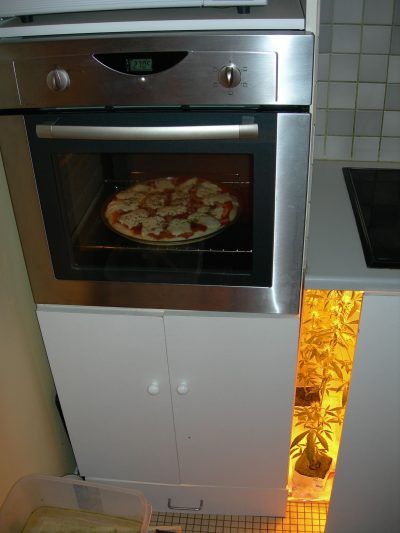 Minicultivo pizza y marihuana
