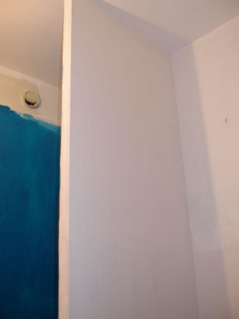 Pintado