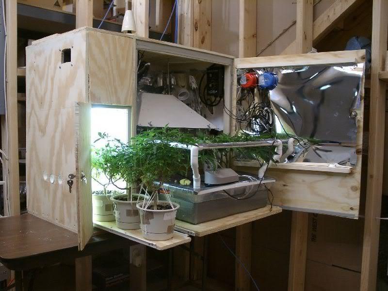 NewGanjaBoy Marijuana Stealth Grow Cabinet Overgrow forum