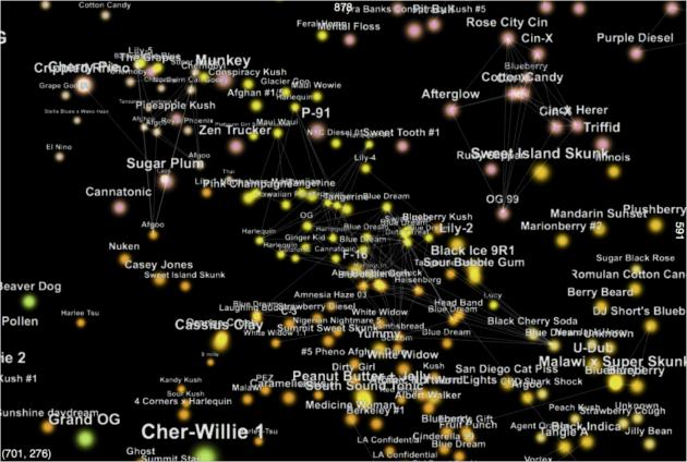 phylos bioscience galaxy