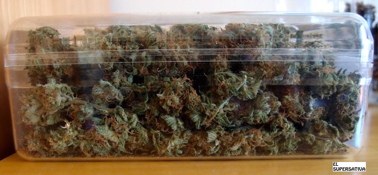 Chronic