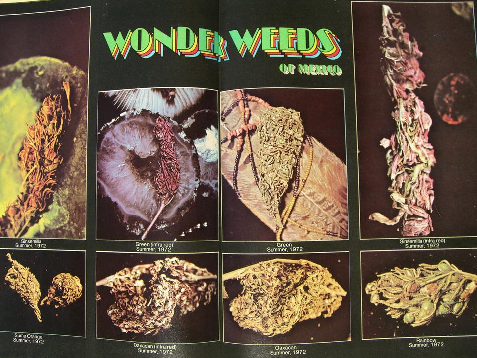 Mariguana