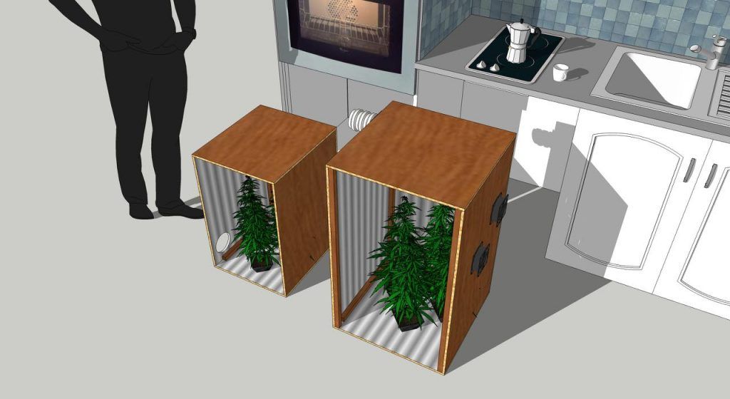 Minicultivo de marihuana en mueble de cocina