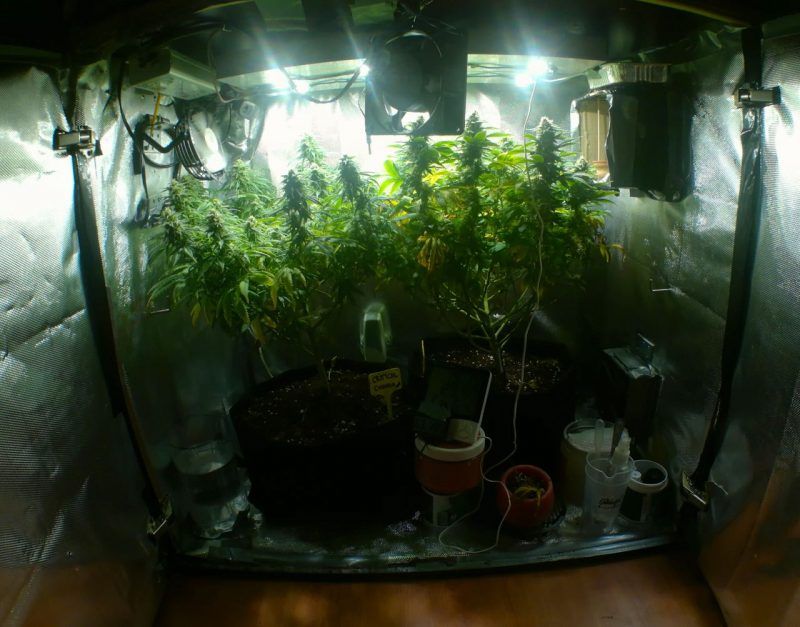 El minibar de ikmk3