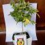 Miniplanta de marihuana