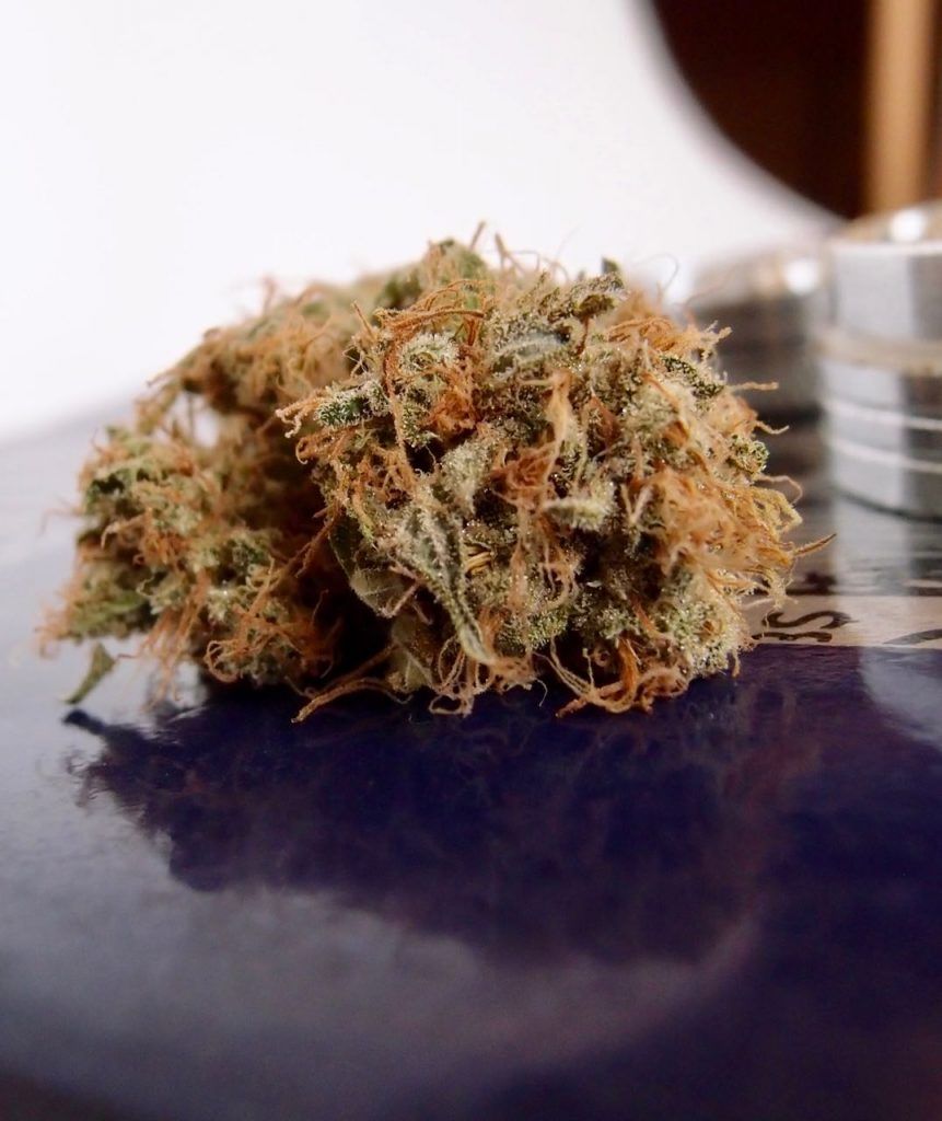 Cogollo de Serious Seeds listo para fumar